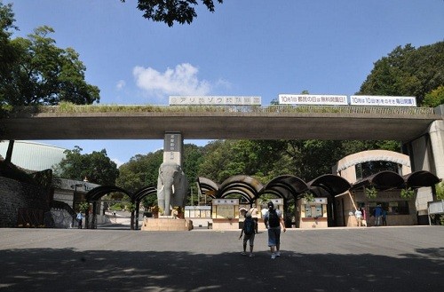 ９月１４日　東京観光３日目　多摩動物公園　マレーバク