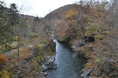 １１月１日　滝上町　渚滑川渓谷遊歩道　今日の錦仙峡