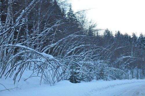 ２月２４日　帯広からの帰り道の風景