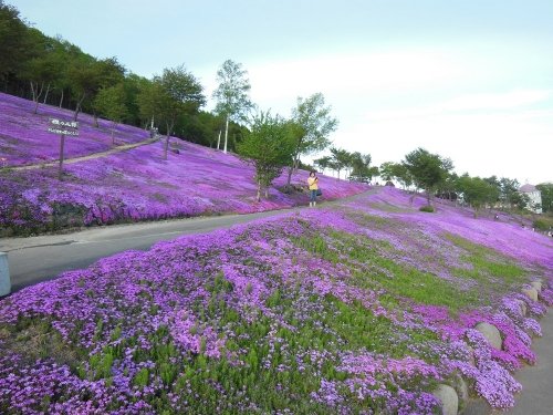 ６月２日　滝上町　滝上公園にゆるキャラが大集合？