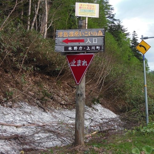 ６月１１日　上川町　今日の浮島湿原いこいの森入口