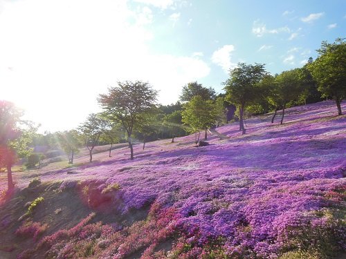 ６月１３日　滝上町　今日の滝上公園