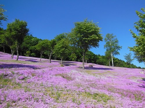 ６月１５日　滝上町　今日の滝上公園