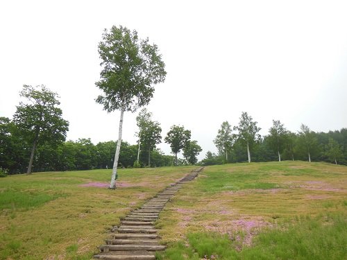 ６月１９日　滝上町　今日の滝上公園