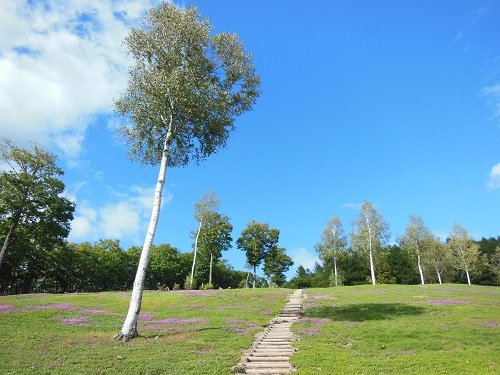 ９月２７日　滝上町　今日の滝上公園２０１３秋