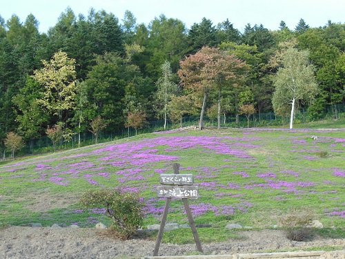 ９月２８日　滝上町　今日の滝上公園２０１３秋