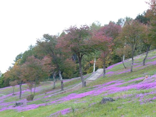 １０月２日　滝上町　今日の滝上公園２０１３秋