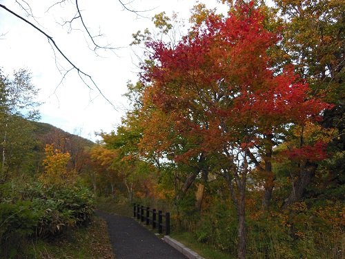 １０月５日　滝上町　渚滑川渓谷遊歩道　今日の錦仙峡７