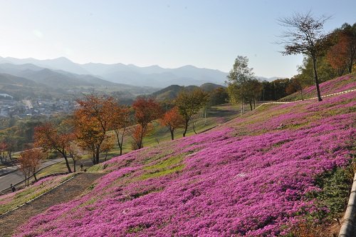 １０月１０日　滝上町　今日の滝上公園２０１３秋