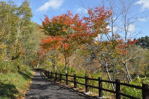 １０月１２日　滝上町　渓谷ウォーク　「秋！歩こう！錦仙峡」