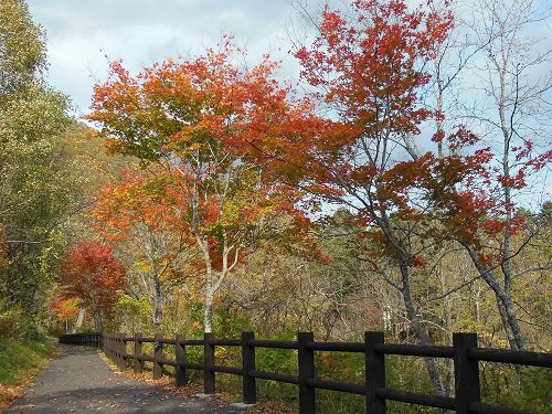 １０月１５日　滝上町　渚滑川渓谷遊歩道　今日の錦仙峡９