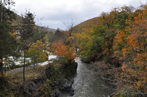 １０月１７日　滝上町　渚滑川渓谷遊歩道　今日の錦仙峡１０