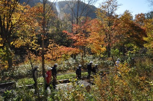 １０月１９日　滝上町　紅葉の渓谷錦仙峡ウォーク