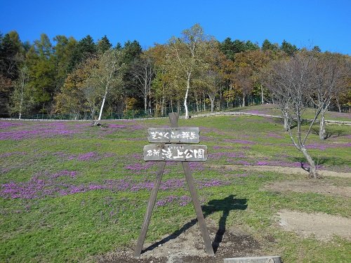 １０月１９日　滝上町　今日の滝上公園２０１３秋