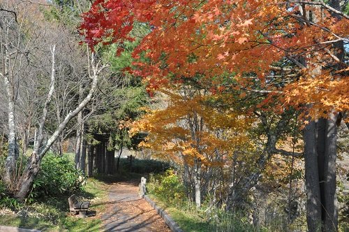 １０月２３日　滝上町　渚滑川渓谷遊歩道　今日の錦仙峡１１