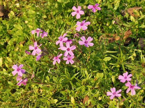 １０月２３日　滝上町　今日の滝上公園２０１３秋