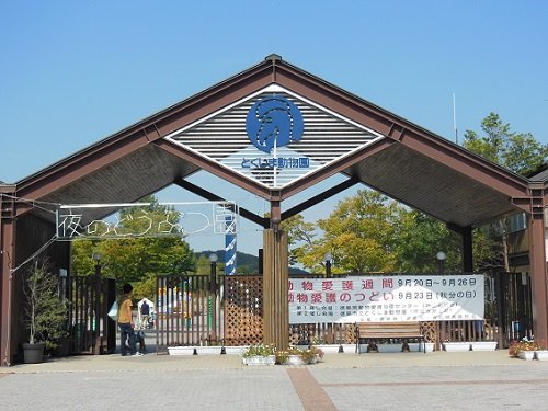 ９月２３日　とくしま動物園　ホッキョクグマ舎