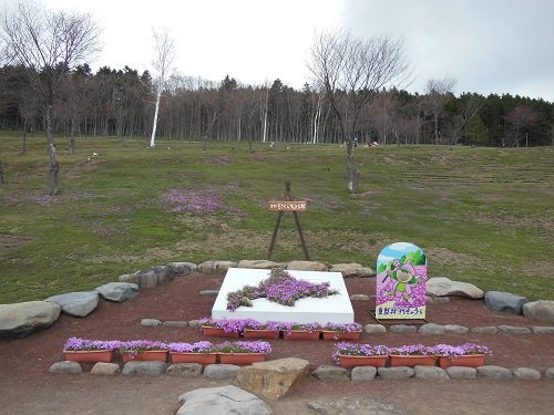 ５月２日　滝上町　今日の芝ざくら滝上公園・・・番外編