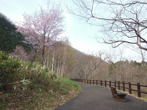 ５月８日　滝上町　今日の錦仙峡・・・春