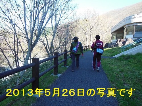 明日５月１８日から、「たきのうえ風　あさの散歩」始まります