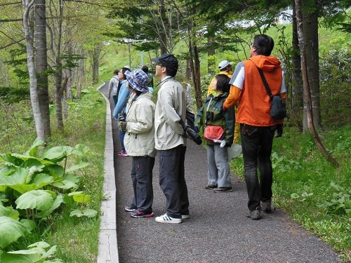 ５月２５日　滝上町　たきのうえ風あさの散歩