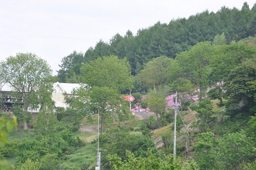 ６月８日　滝上町　今日の我が家から見た芝ざくら滝上公園