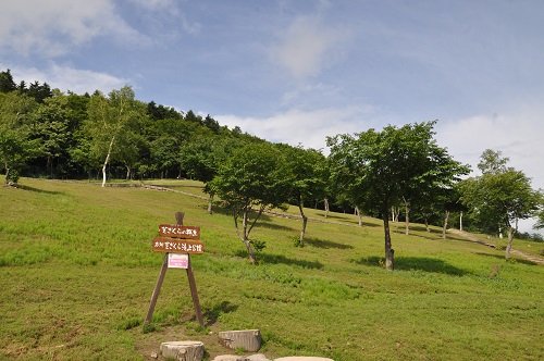 ６月３０日　滝上町　今日の芝ざくら滝上公園３４・・・最終回！