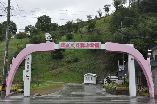 ９月８日　滝上町　今日の芝ざくら滝上公園２０１４秋・・・１