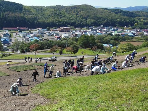 ９月２１日　滝上町　芝ざくら滝上公園　芝ざくら町民植栽会