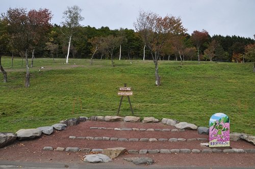 ９月２９日　滝上町　今日の芝ざくら滝上公園２０１４秋・・・３