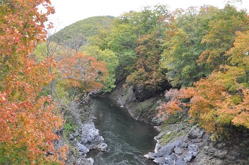 １０月２日　滝上町　渚滑川渓谷遊歩道　今日の錦仙峡３