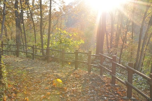 １０月９日　滝上町　渚滑川渓谷遊歩道　今日の錦仙峡５・・・後半