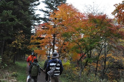 １０月１２日　滝上町　たきのうえ流　あさの散歩２０１４秋