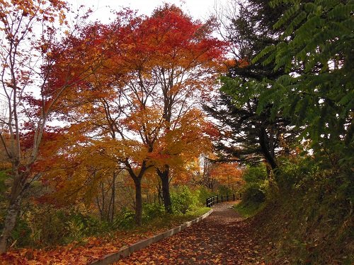 １０月１６日　滝上町　渚滑川渓谷遊歩道　今日の錦仙峡６