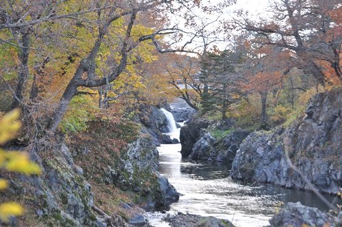 １０月１６日　滝上町　渚滑川渓谷遊歩道　今日の錦仙峡・・・番外編