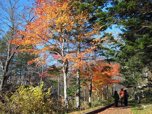 １０月１９日　滝上町　たきのうえ的あさの散歩２０１４秋・・・最終回