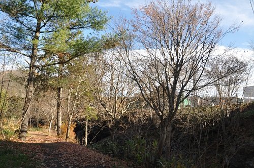 １０月２４日　滝上町　渚滑川渓谷遊歩道　今日の錦仙峡８・・・最終回