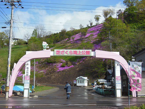 5月17日　滝上町　今日の芝ざくら滝上公園2015・・・16　朝編