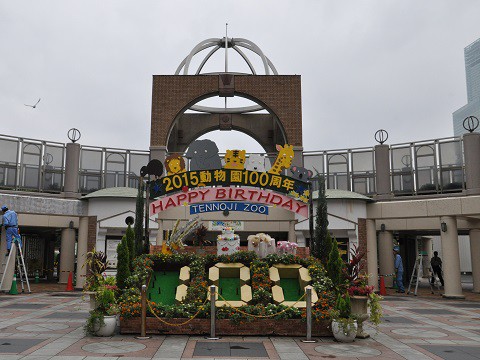 2015年9月　天王寺動物園　ホッキョクグマ　バフィンと百々親子1