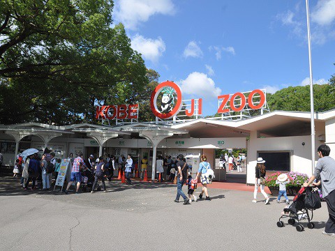 2015年9月　関西旅行5日目　王子動物園　猛獣舎