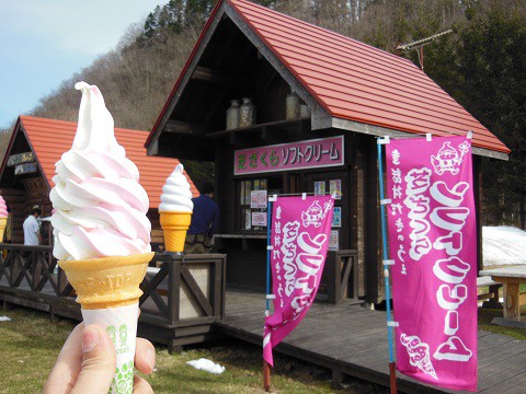 5月2日　滝上町　芝ざくら滝上公園の次は道の駅へ・・・