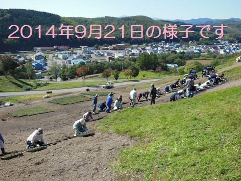 明日は、芝ざくら滝上公園の植栽会が開催されます。