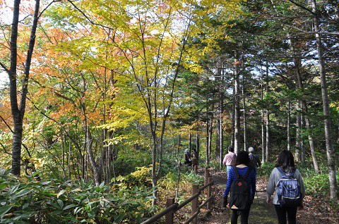 10月7日　滝上町　今日の錦仙峡・・・4　秋歩こう錦仙峡に参加　後半