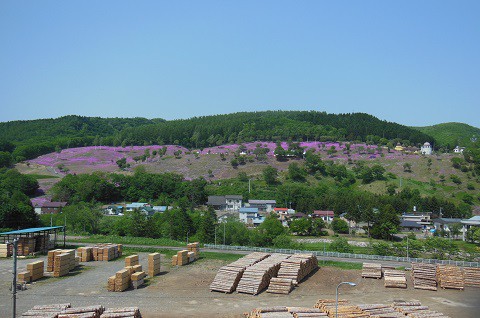 6月4日　滝上町　滝上神社から見た、芝ざくら滝上公園