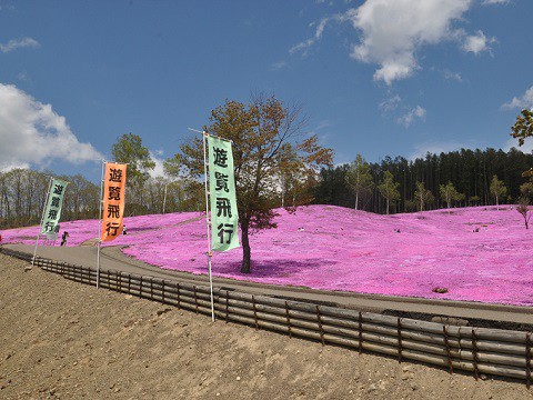 5月15日　今日の芝ざくら滝上公園2022・・・遊覧飛行始めました