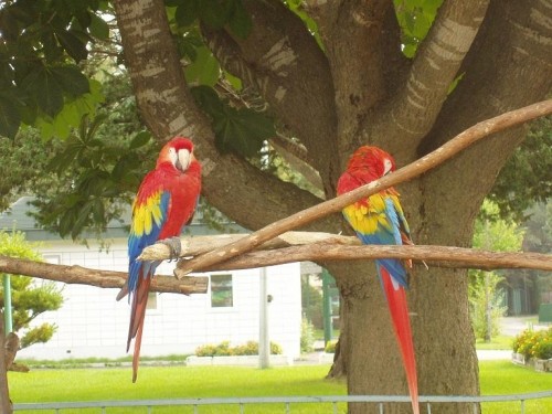 動物園で過ごした１日♪