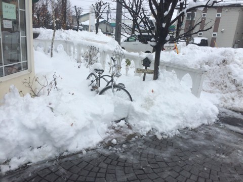 どか雪、降りましたね〜