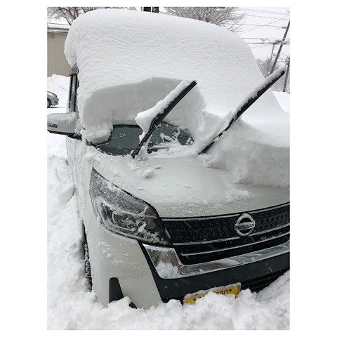 降りましたね〜。大雪!