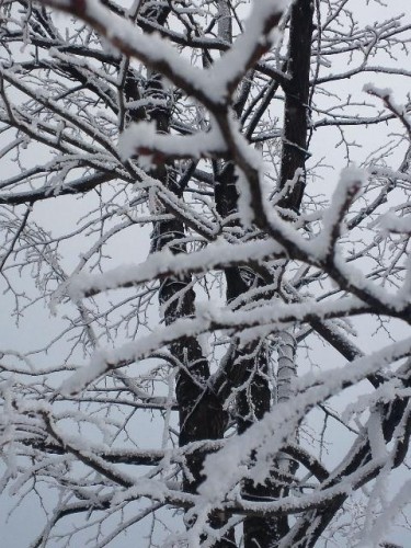 今日は札幌っす(＞Σ＜)