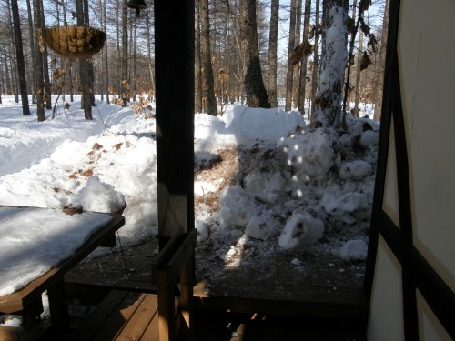 平地で雪崩！？